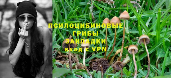 винт Алексин