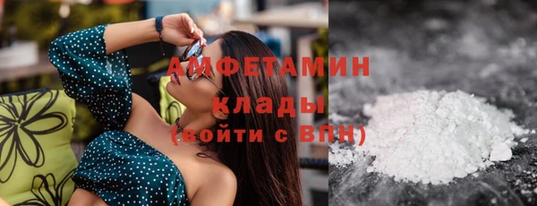 ECSTASY Алзамай