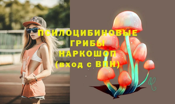 винт Алексин