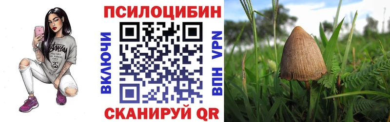 Псилоцибиновые грибы GOLDEN TEACHER  Петушки 